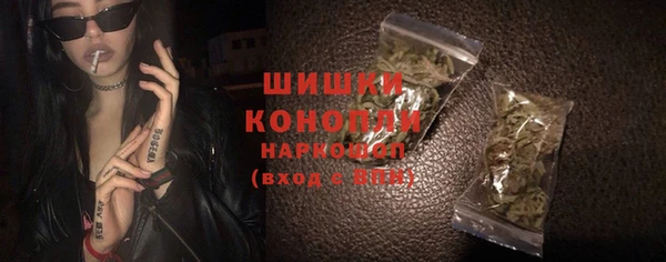 стафф Верхний Тагил